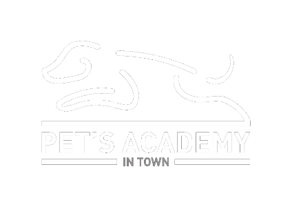 Pets Academy In Town
