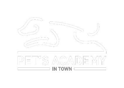 Pets Academy In Town