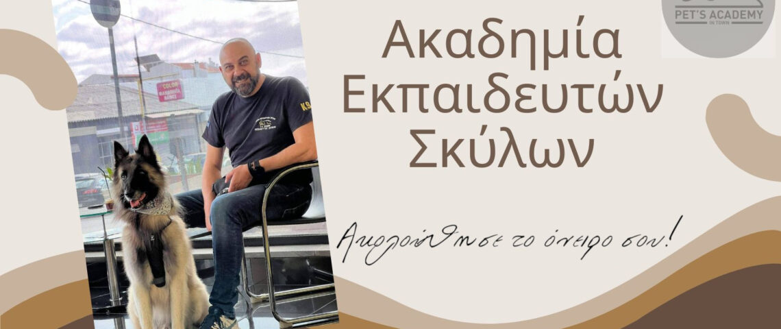 ΑΚΑΔΗΜΙΑ ΕΚΠΑΙΔΕΥΤΩΝ ΣΚΥΛΩΝ