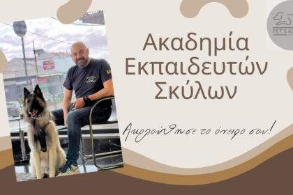 ΑΚΑΔΗΜΙΑ ΕΚΠΑΙΔΕΥΤΩΝ ΣΚΥΛΩΝ